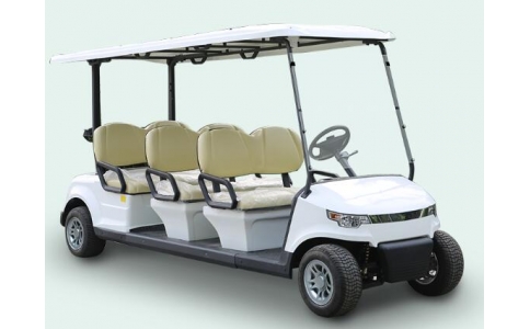6座高爾夫球車 豪華款 DG-C6-8