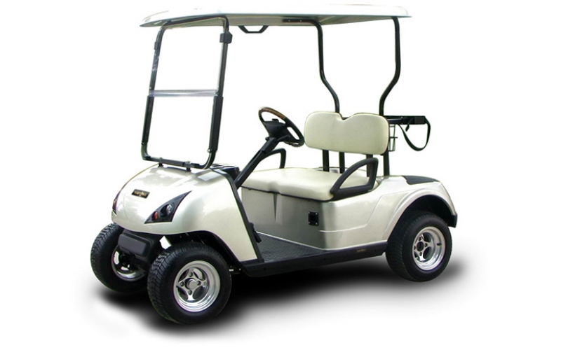 2座高爾夫球車 經濟款 DG-C2