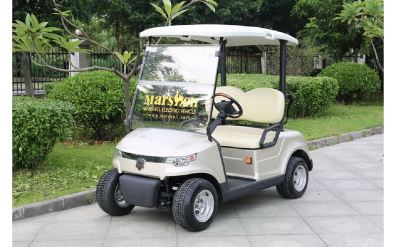 2座高爾夫球車  豪華款 DG-C2-8